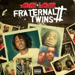 Fraternal Twins 2