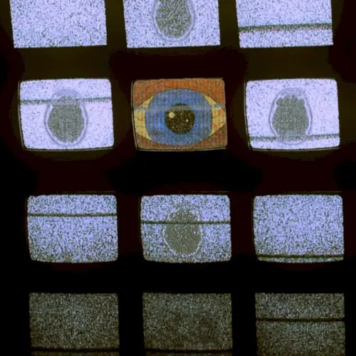 Project: Brainwash