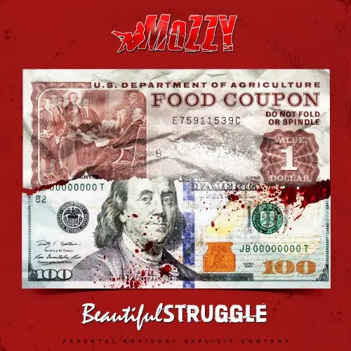 Beautiful Struggle