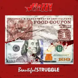 Beautiful Struggle