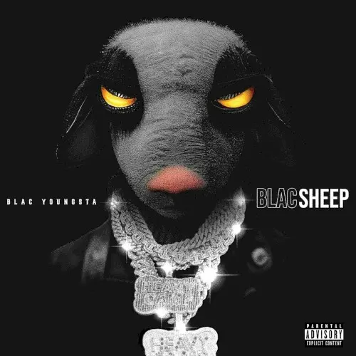 Blac Sheep