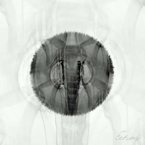 EXPEDITion, Vol. 3: Echoes