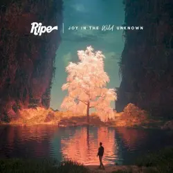 Joy in the Wild Unknown