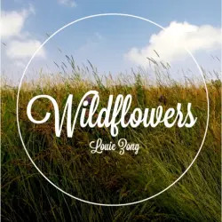 Wildflowers Wildflowers