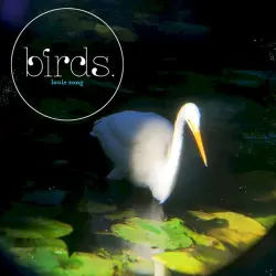 birds.