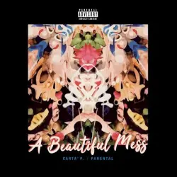 A Beautiful Mess
