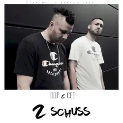 2 Schuss