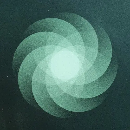 The Shape of Everything