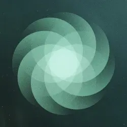 The Shape of Everything