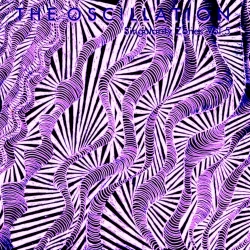 Singularity Zones Vol.5