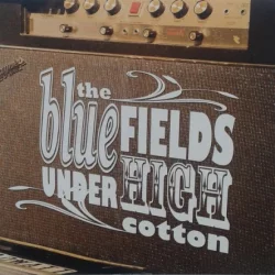 Under High Cotton