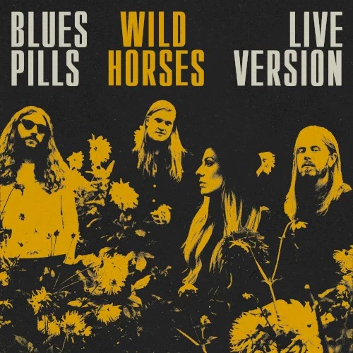 Wild Horses (Live)
