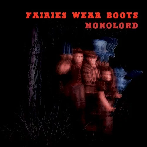 Fairies Wear Boots