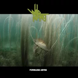 Formless Abyss