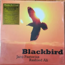 Blackbird