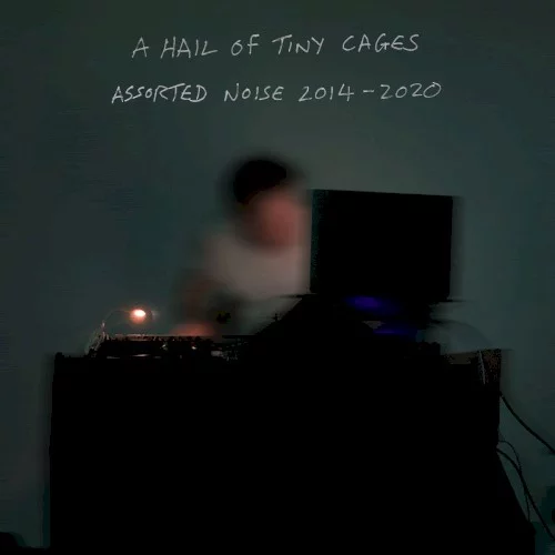 A Hail of Tiny Cages | Assorted Noise 2014-2020