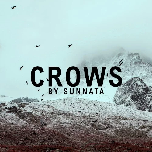 Crows