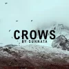 Crows