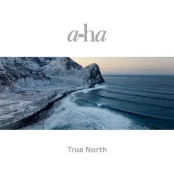 True North True North