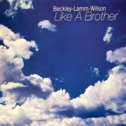 Like A Brother