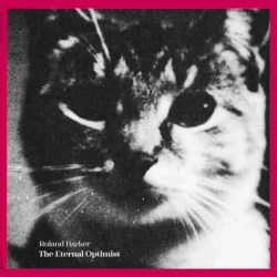 The Eternal Optimist