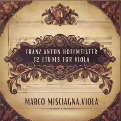 12 Etudes for Viola