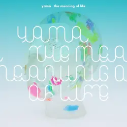 the meaning of life