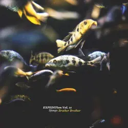 EXPEDITion, Vol. 11: Brother Brother