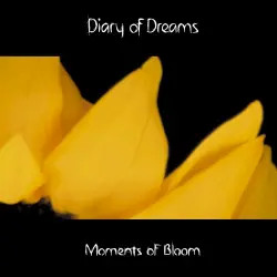 Moments of Bloom Moments of Bloom