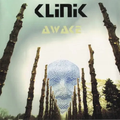Awake