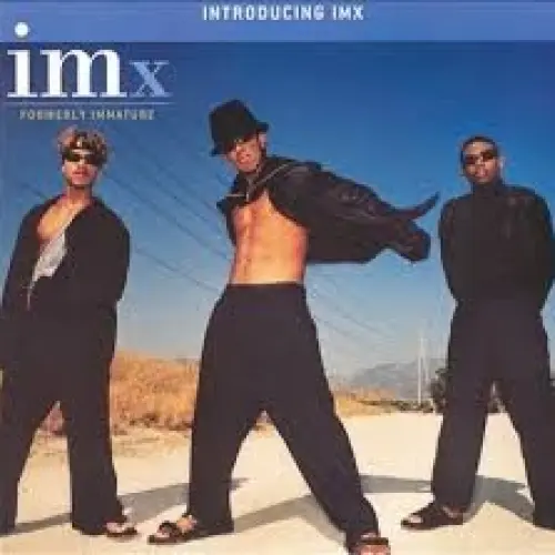 Introducing IMx