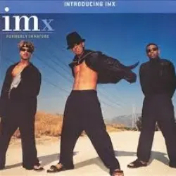 Introducing IMx