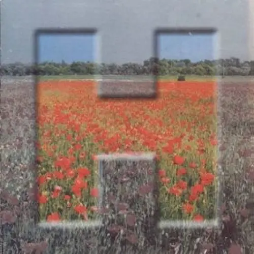 Gyöngy a sárban