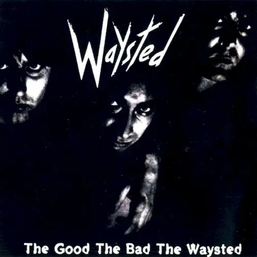 The Good the Bad the Waysted