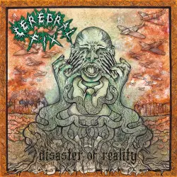 Disaster of Reality