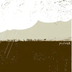 Plover