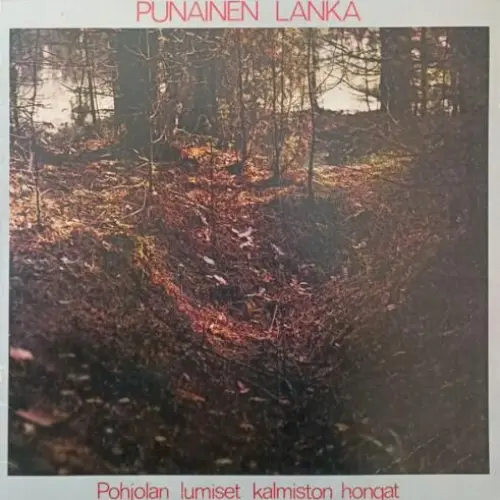 Pohjolan lumiset kalmiston hongat