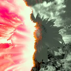Brutal Illumination