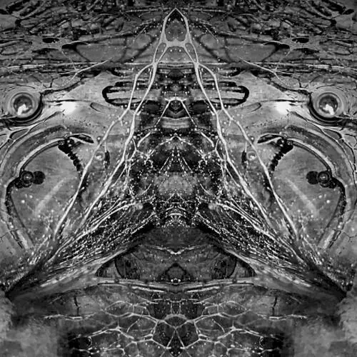 The Darc Triad
