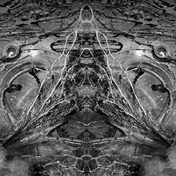 The Darc Triad