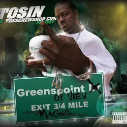 Greens Point of View