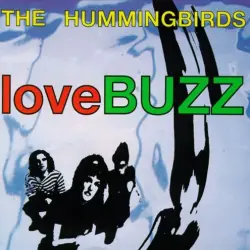 loveBUZZ loveBUZZ