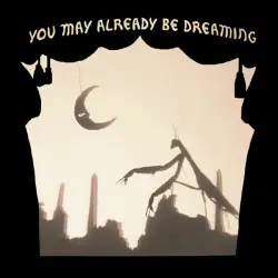 You May Already Be Dreaming
