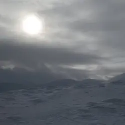 Sayir