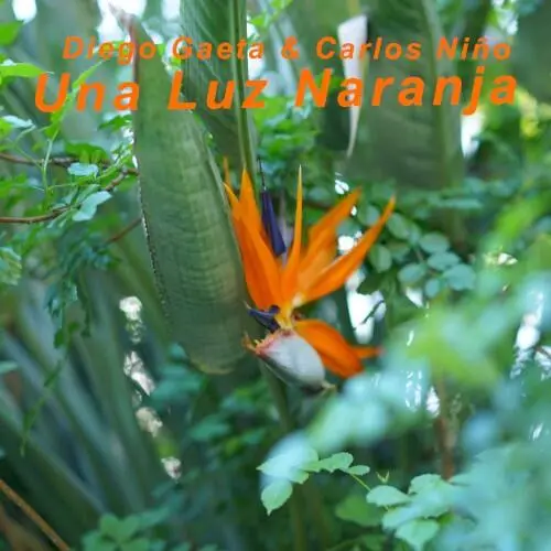 Una Luz Naranja