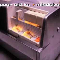 Mindsize