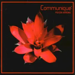 Poison Arrows