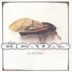 Cicadas