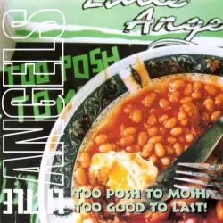 Too Posh to Mosh, Too Good to Last!