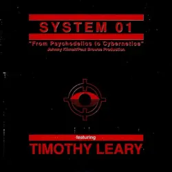 From Psychodelics to Cybernetics